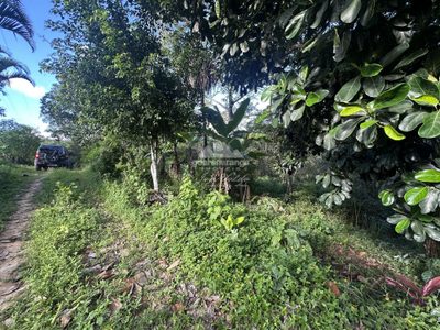 Sítio, 2 quartos, 4 hectares - Foto 4