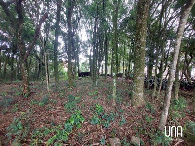 Terreno, 496 m² - Foto 5