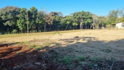 Chácara, 2500 m² - Foto 4