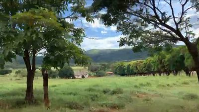 Fazenda, 7 quartos - Foto 1