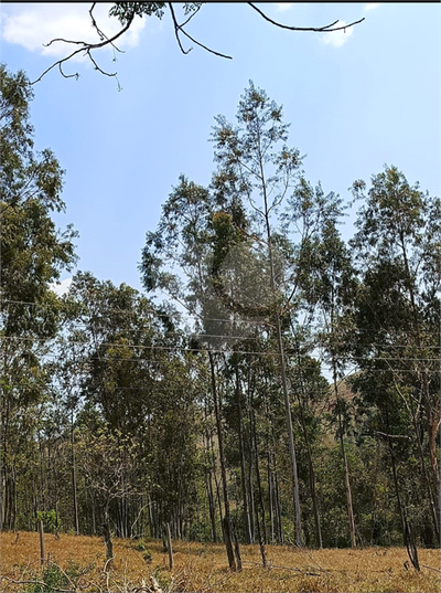 Terreno, 2 hectares - Foto 2
