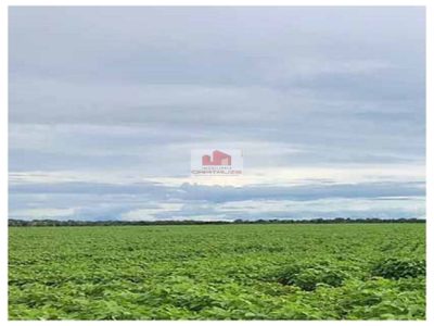 Fazenda, 2 hectares - Foto 1