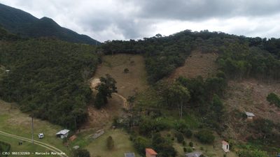 Terreno, 3 hectares - Foto 5