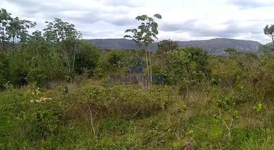 Fazenda, 309 hectares - Foto 4