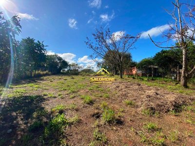 Sítio, 2 quartos, 1200 m² - Foto 4