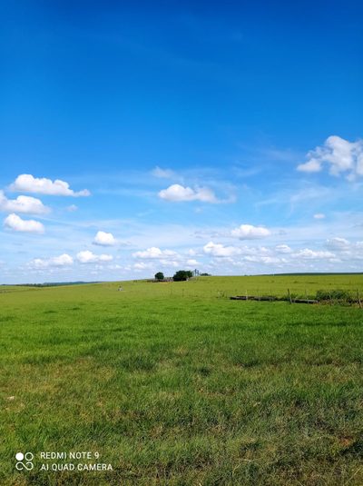 Fazenda, 10000 m² - Foto 5