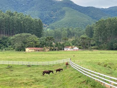 Fazenda, 43 m² - Foto 5