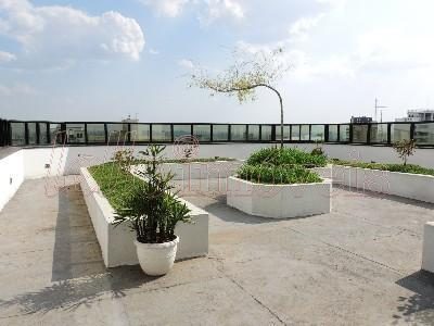 Sala-Conjunto, 1573 m² - Foto 3