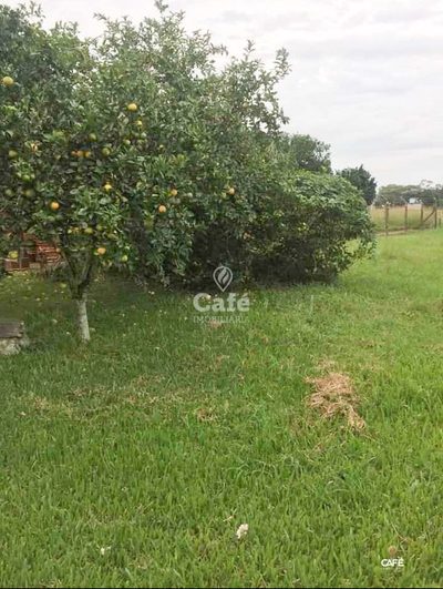 Chácara, 4 quartos, 2000 hectares - Foto 4