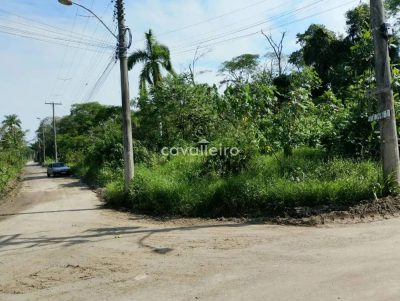 Terreno, 3 hectares - Foto 1