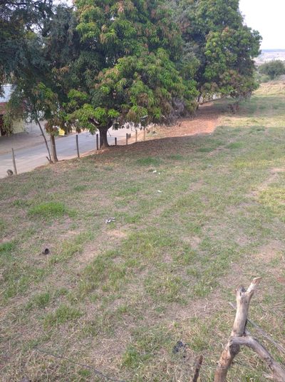 Terreno, 5000 m² - Foto 4