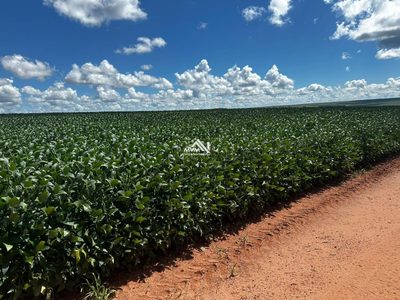 Fazenda, 1179 hectares - Foto 3