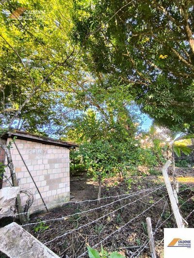 Terreno - Foto 4