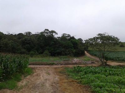 Terreno, 3000 m² - Foto 4
