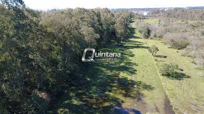 Terreno, 1 hectares - Foto 4