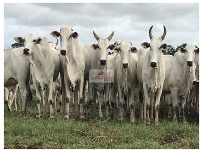 Casa, 100 m² - Foto 1