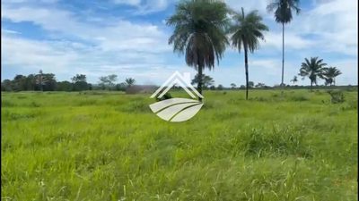 Fazenda, 2226 m² - Foto 5