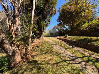 Terreno, 3335 m² - Foto 3