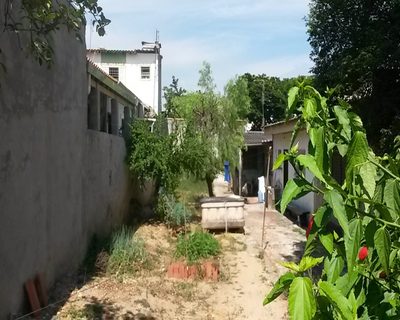 Terreno - Foto 3