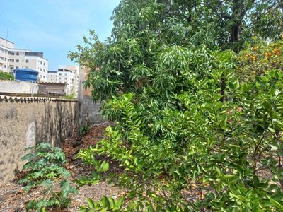 Terreno, 360 m² - Foto 4