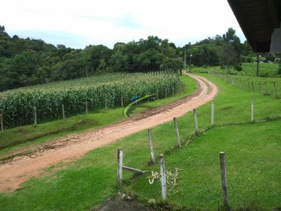 Chácara, 3 quartos - Foto 2