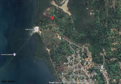 Terreno, 22 hectares - Foto 4