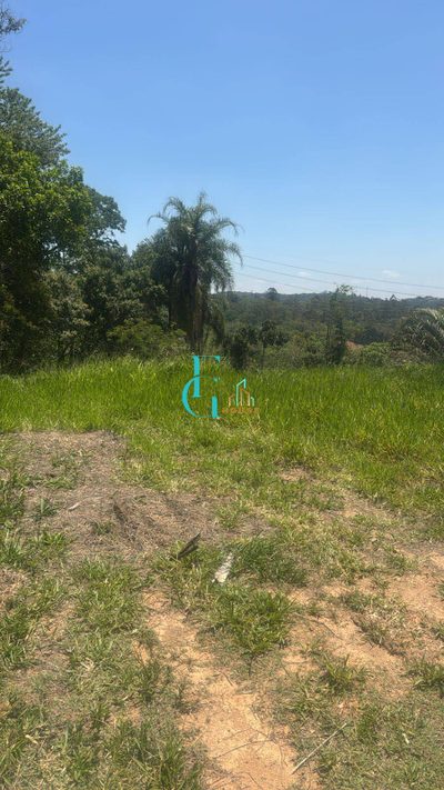Terreno, 1 hectares - Foto 3