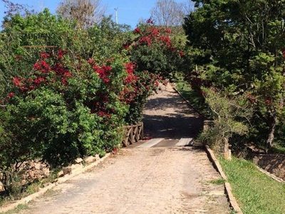 Terreno, 2 hectares - Foto 4