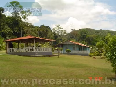 Sítio, 2 quartos, 1000 m² - Foto 1