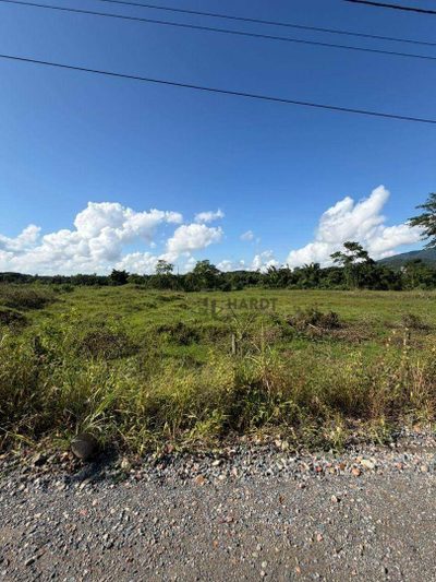 Terreno, 2 hectares - Foto 2