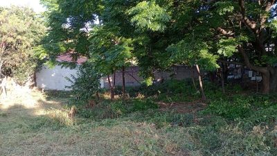 Terreno, 1000 m² - Foto 2