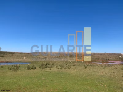 Fazenda, 137 hectares - Foto 1