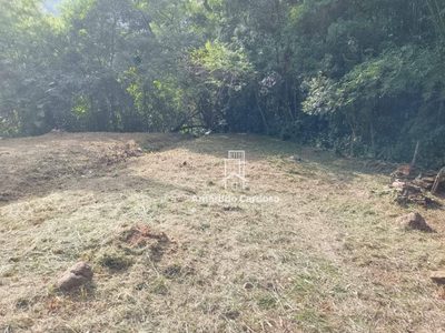 Terreno, 4000 m² - Foto 4