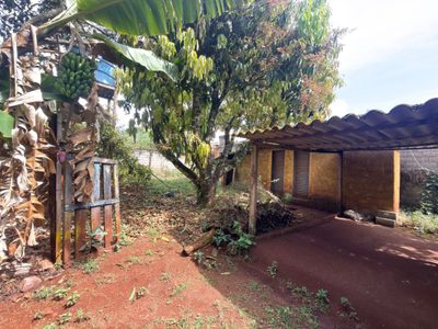 Terreno, 5000 m² - Foto 3