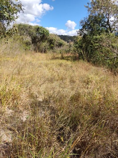 Terreno, 110000 m² - Foto 4