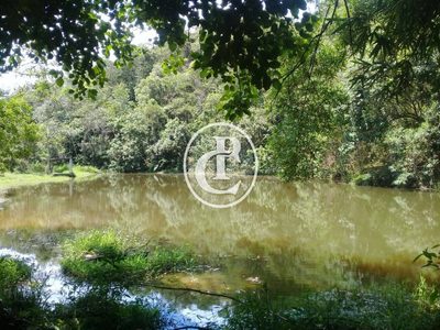 Sítio, 4 quartos, 44 hectares - Foto 4