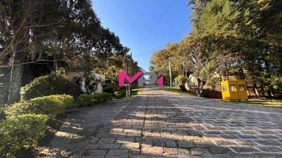 Terreno, 5000 m² - Foto 5