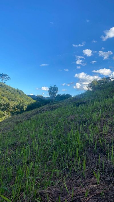 Terreno, 1002 m² - Foto 4