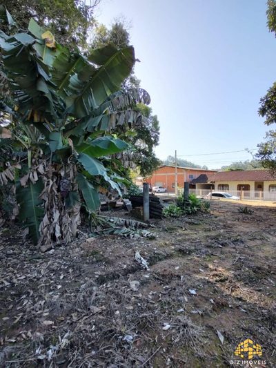 Terreno, 4057 m² - Foto 4