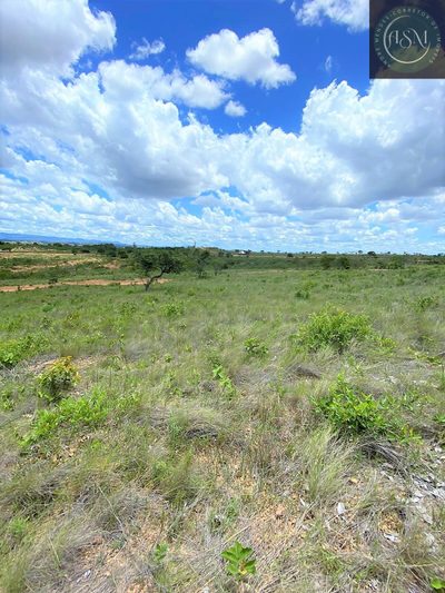 Terreno, 2 hectares - Foto 4