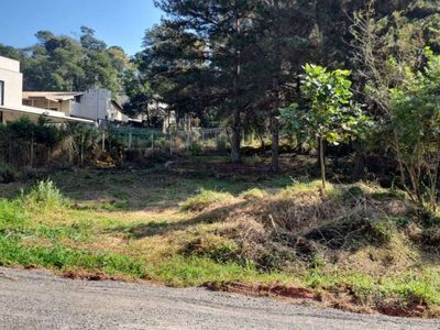 Terreno - Foto 5