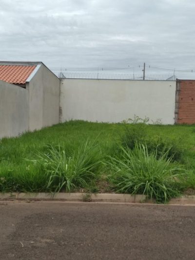 Terreno, 250 m² - Foto 5