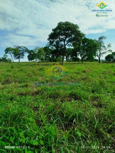 Fazenda, 2 quartos - Foto 3