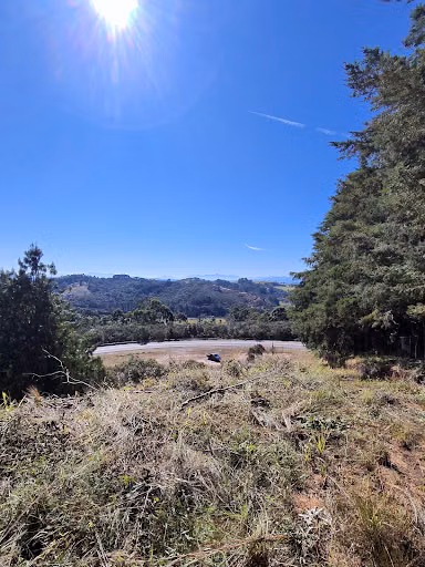 Terreno, 3 hectares - Foto 4