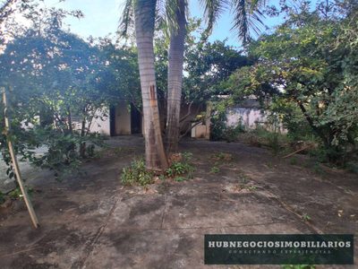 Casa, 5 quartos, 1136 m² - Foto 3