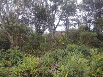 Terreno, 275 m² - Foto 5