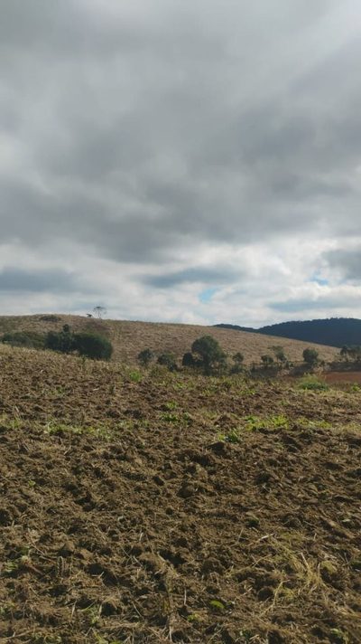 Fazenda, 242 hectares - Foto 1
