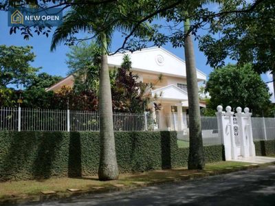 Casa, 8 quartos, 800 m² - Foto 3