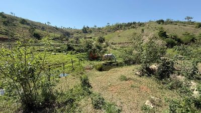 Terreno, 9 hectares - Foto 1