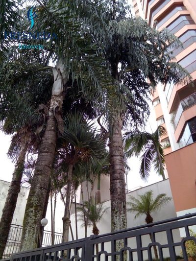 Apartamento, 3 quartos, 157 m² - Foto 1